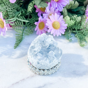 S1669 Celestite crystal egg shaped geode cluster 5cm Australia. Buy celestite crystal australia. gemrox sydney 2