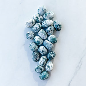 S1745 Tree Agate crystal tumble tumbled tumbles stone 3cm australia. Buy tree agate crystal stones sydney australia. gemrox sydney 1