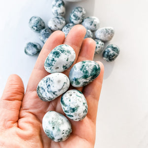 S1745 Tree Agate crystal tumble tumbled tumbles stone 3cm australia. Buy tree agate crystal stones sydney australia. gemrox sydney 1