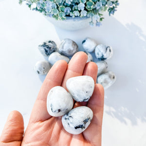 S1752 Moonstone rainbow crystal tumbled tumble stone 3cm australia.Buy moonstone crystals australia. gemrox sydney 1