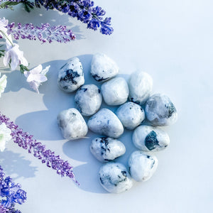 S1752 Moonstone rainbow crystal tumbled tumble stone 3cm australia.Buy moonstone crystals australia. gemrox sydney 1