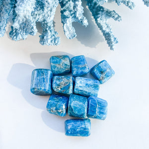 S1753 Dark Blue apatite crystal tumble tumbled stone 3cm australia. buy apatite blue crystals australia. gemrox sydney 1