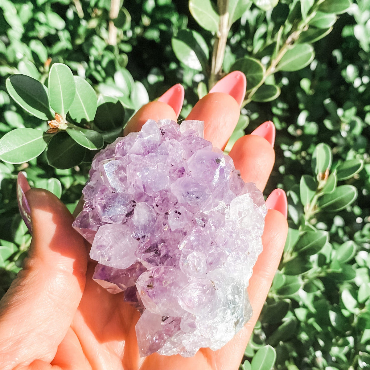 s1628 amethyst crystal cluster raw stone australia. amethyst crystal cluster 7cm australia. gemrox sydney 1