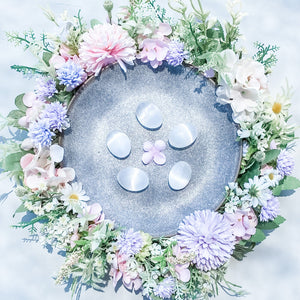 s1031 selenite crystal palm stone palmstone 3.5cm small crystals australia gemrox 1