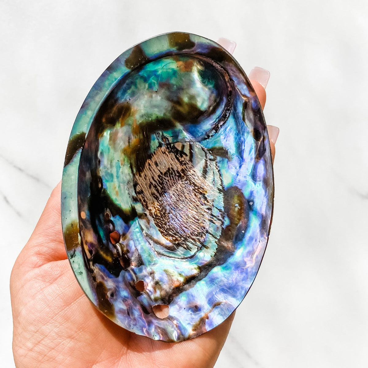 s1046 Natural Abalone Shell Incence Smudging Ritual Crystals Australia gemrox sydney 1