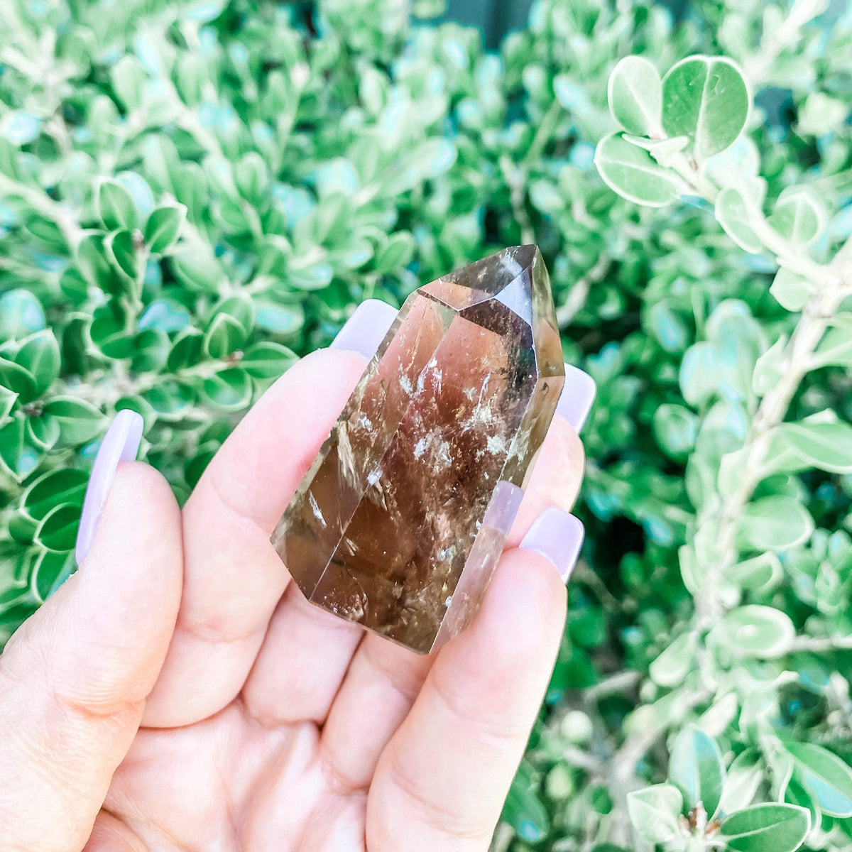 s1163 smoky quartz crystal tower generator point australia.smoky quartz crystal australia.crystals australia.gemrox sydney 1