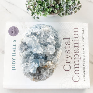 s1244 celestite crystal egg shaped cluster geode australia.crystal blue celestite cluster geode australia.crystals australia gemrox sydney 1