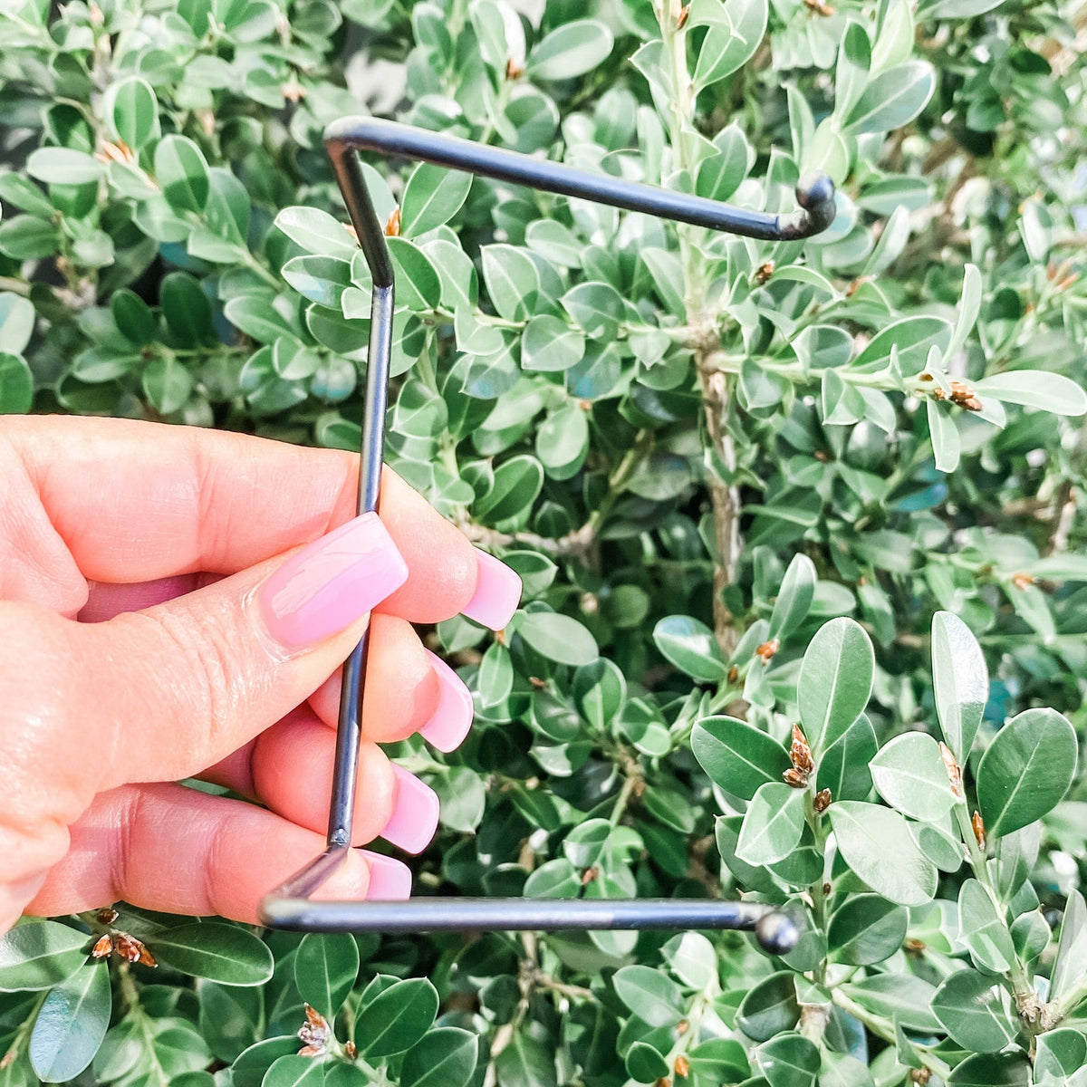 s1290 black iron metal crystal mineral specimen stand holder australia.crystal stand holder australia.Crystal and cluster stand australia.gemrox sydney 1