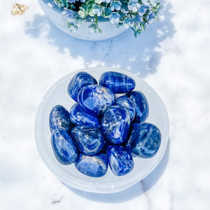 s1521 sodalite crystal tumbled stone a grade brazil 2.5cm australia. sodalite tumbled stone australia. gemrox sydney 1