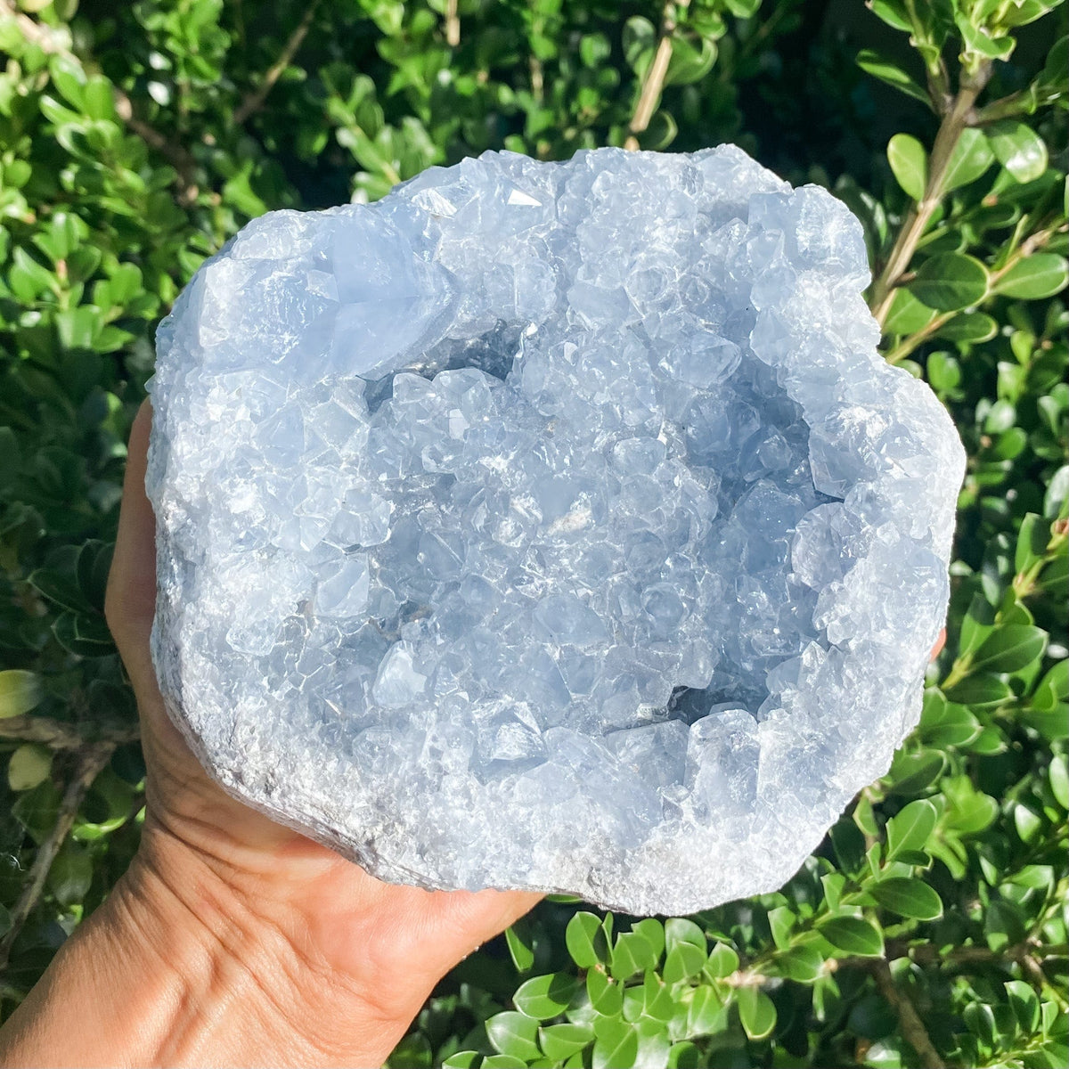 s1602 large celestite blue crystal cluster geode 2255 grams or 2 kilos 13cm australia. celestite crystal geode cluster australia. gemrox sydney 1