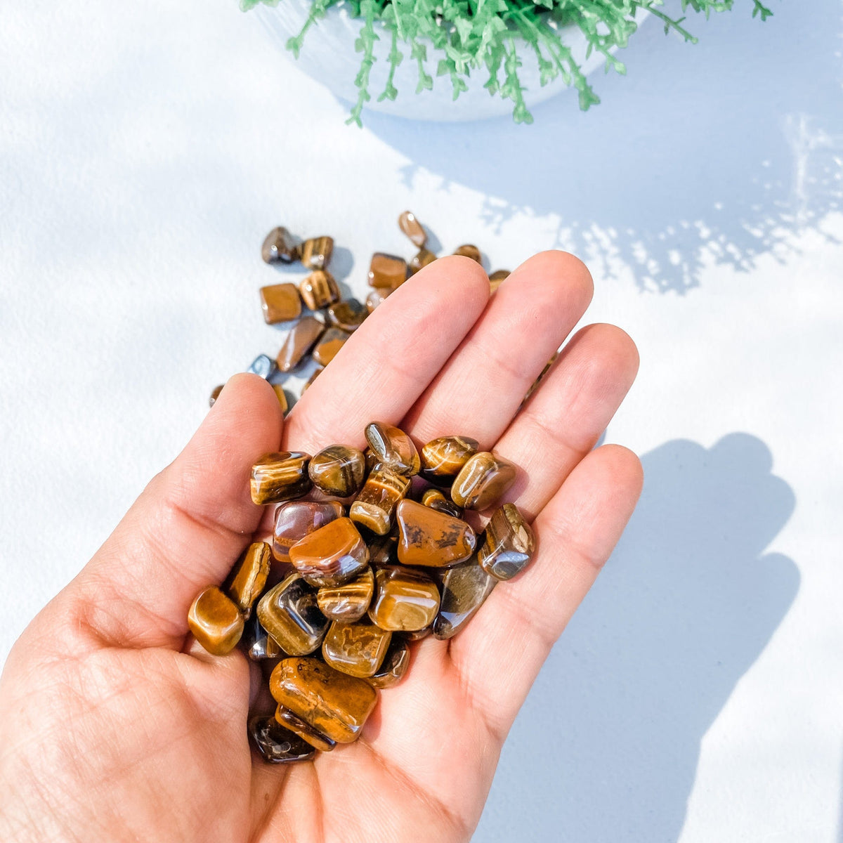 s1610 tigers eye crystal mini tumbled stone 50 gram bulk pack australia. buy tigers eye tumbled stones australia. gemrox sydney 1