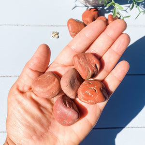s1618 red jasper raw rough stone 2cm to 3cm australia. buy red jasper stone crystal australia. gemrox sydney 1
