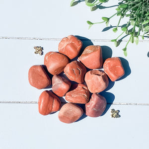 s1618 red jasper raw rough stone 2cm to 3cm australia. buy red jasper stone crystal australia. gemrox sydney 1