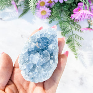 S1668 Celestite crystal geode cluster 7cm Australia. Buy celestite crystal australia. gemrox sydney 1