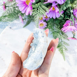 S1668 Celestite crystal geode cluster 7cm Australia. Buy celestite crystal australia. gemrox sydney 1