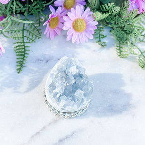 S1669 Celestite crystal egg shaped geode cluster 5cm Australia. Buy celestite crystal australia. gemrox sydney 2