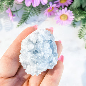 S1671 Celestite crystal mini geode cluster 5cm Australia. Buy celestite crystal australia. gemrox sydney 2