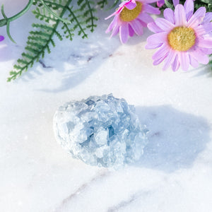 S1671 Celestite crystal mini geode cluster 5cm Australia. Buy celestite crystal australia. gemrox sydney 2