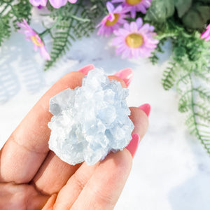 S1673 Celestite crystal mini geode cluster 3cm Australia. Buy celestite crystal australia. gemrox sydney 1