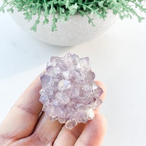 S1689 Amethyst crystal cluster 4.5cm australia. brazilian crystal cluster amethyst australia. gemerox sydney 1