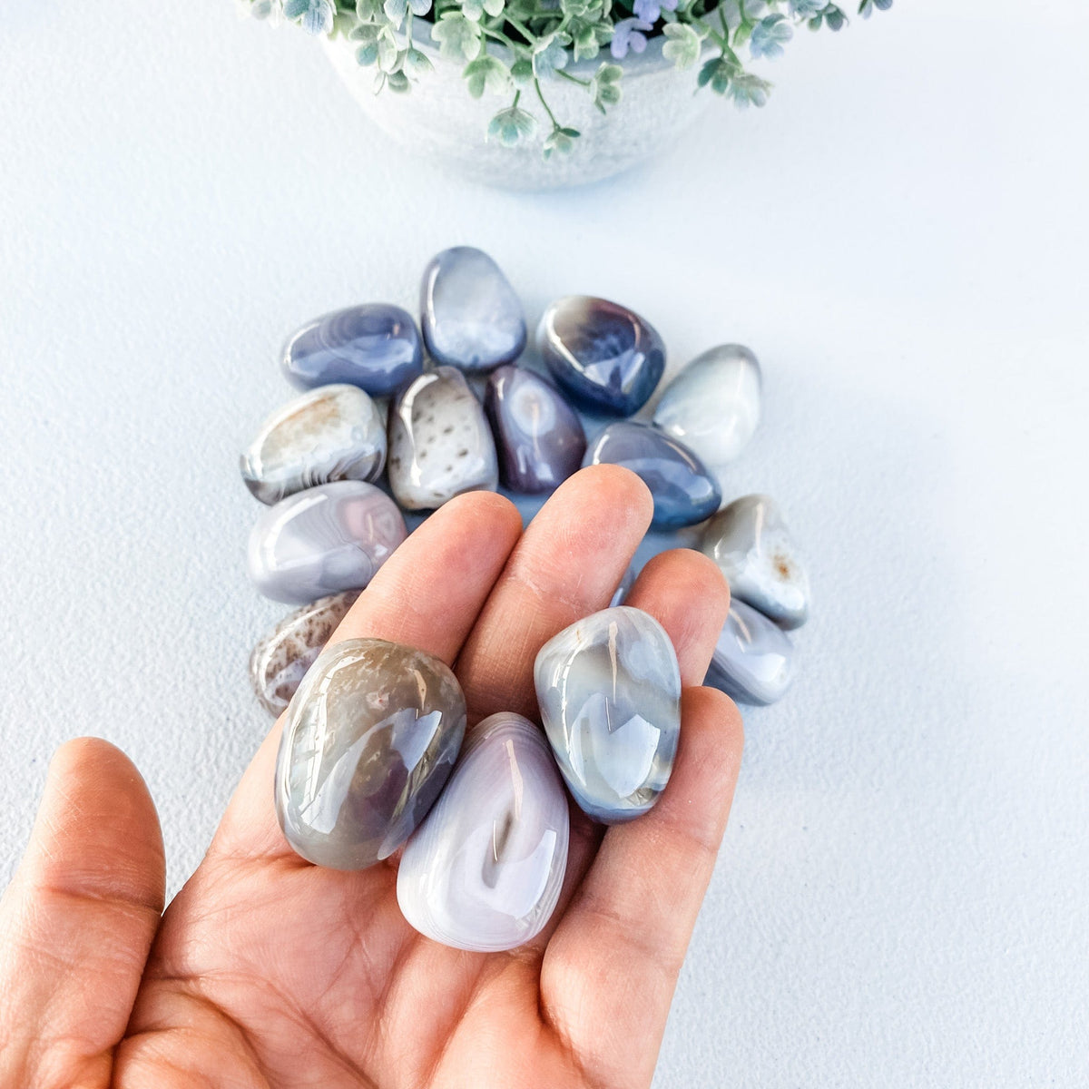 S1744 Botswana agate crystal tumbled tumble tumbles stone 3cm australia. buy agate botswana australia. gemrox sydney 1