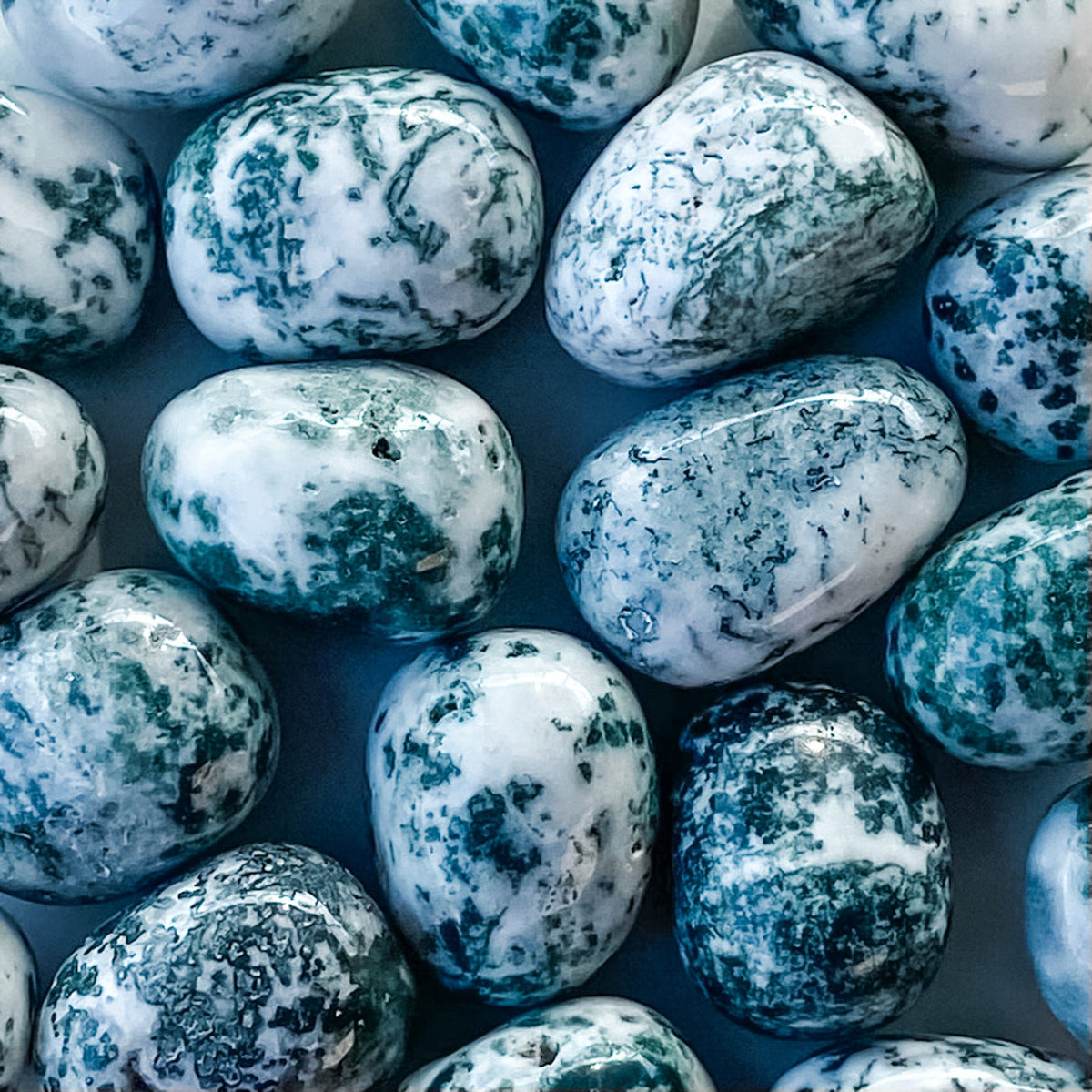 S1745 Tree Agate crystal tumble tumbled tumbles stone 3cm australia. Buy tree agate crystal stones sydney australia. gemrox sydney 1