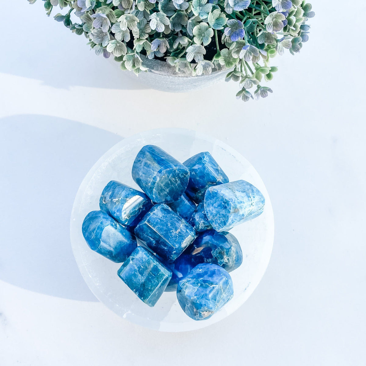 S1753 Dark Blue apatite crystal tumble tumbled stone 3cm australia. buy apatite blue crystals australia. gemrox sydney 1