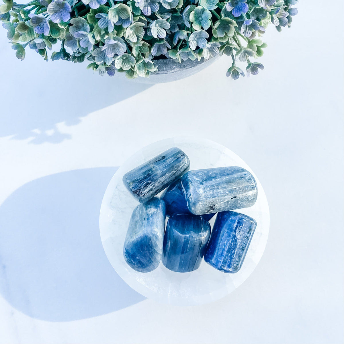 S1755 Blue Kyanite crystal tumbled tumble tumbles 3cm australia. buy kyanite crystals australia. gemrox sydney 1