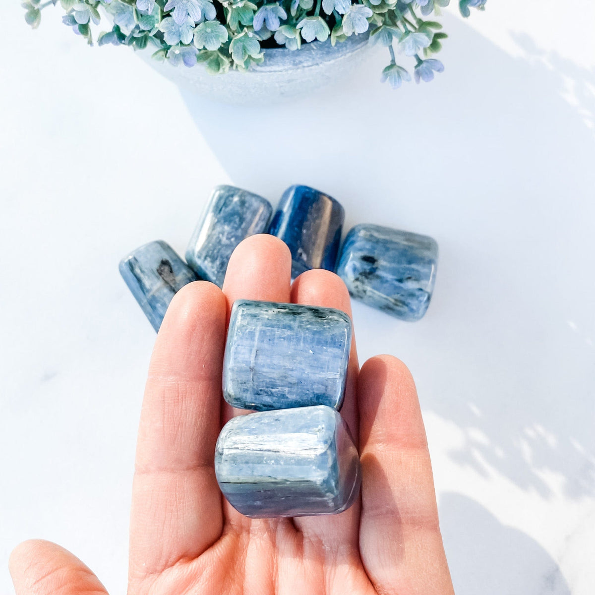 S1755 Blue Kyanite crystal tumbled tumble tumbles 3cm australia. buy kyanite crystals australia. gemrox sydney 1