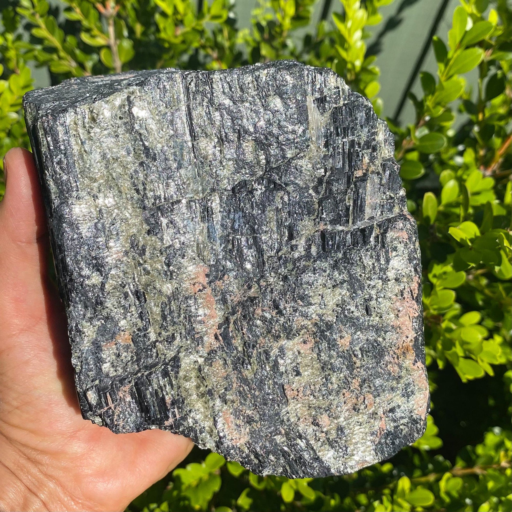 S1791 Black and Pink Tourmaline crystal raw rough large stone 2.6 kilos australia. black tourmaline stone for protection home or office australia. gemrox sydney 1