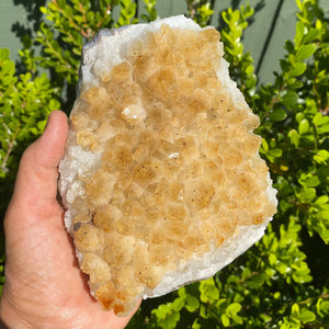 S1792 Citrine crystal raw large stone cluster 1.3 kilos 14cm australia. citrine stone for home office australia.gemrox sydney 1