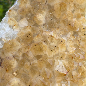 S1792 Citrine crystal raw large stone cluster 1.3 kilos 14cm australia. citrine stone for home office australia.gemrox sydney 1