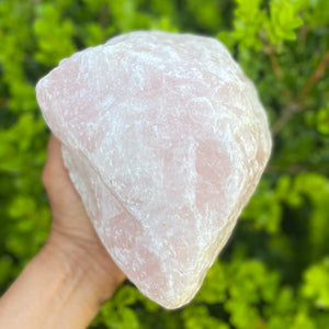 S1793 Rose Quartz raw crystal rough stone 4.9 kilos 16cm extra large stone australia. rose quartz stone for home or office australia. gemrox sydney 1