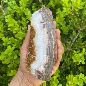 S1795 citrine crystal raw stone cluster 13.5cm and 1.124 kilos australia. buy citrine cluster for home or office australia.gemrox sydney 1