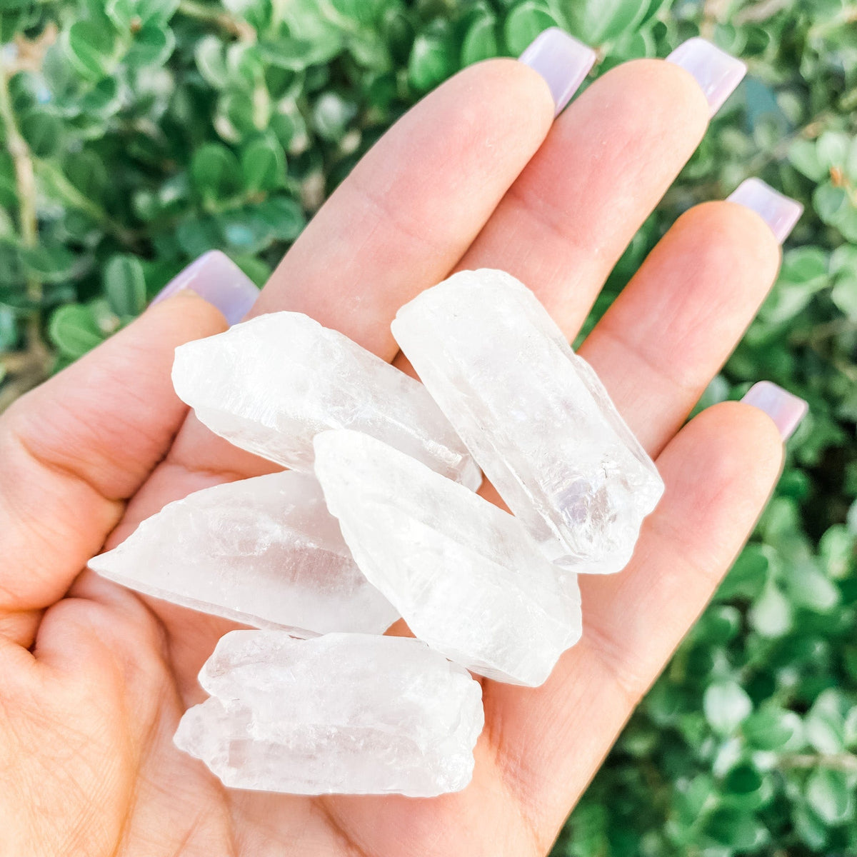 S1305 Clear Quartz crystal raw stone points australia.clear quartz crystal points australia 2cm. gemrox sydney 1