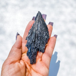 Black Kyanite Raw Stone gemrox australia