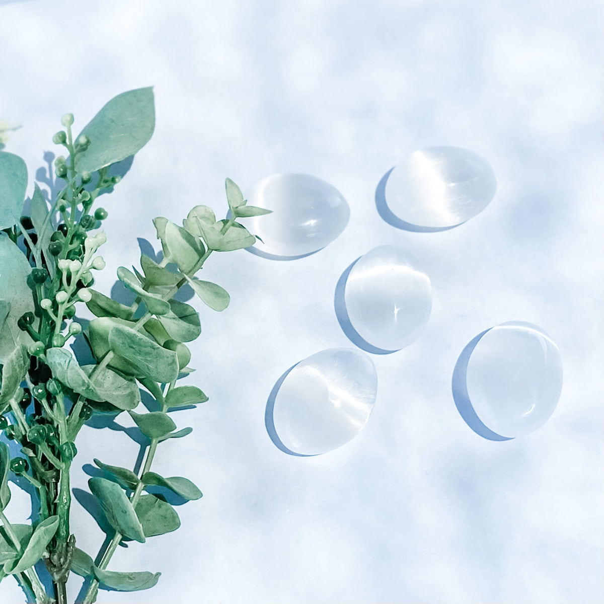 s1031 selenite crystal palm stone palmstone 3.5cm small crystals australia gemrox 1