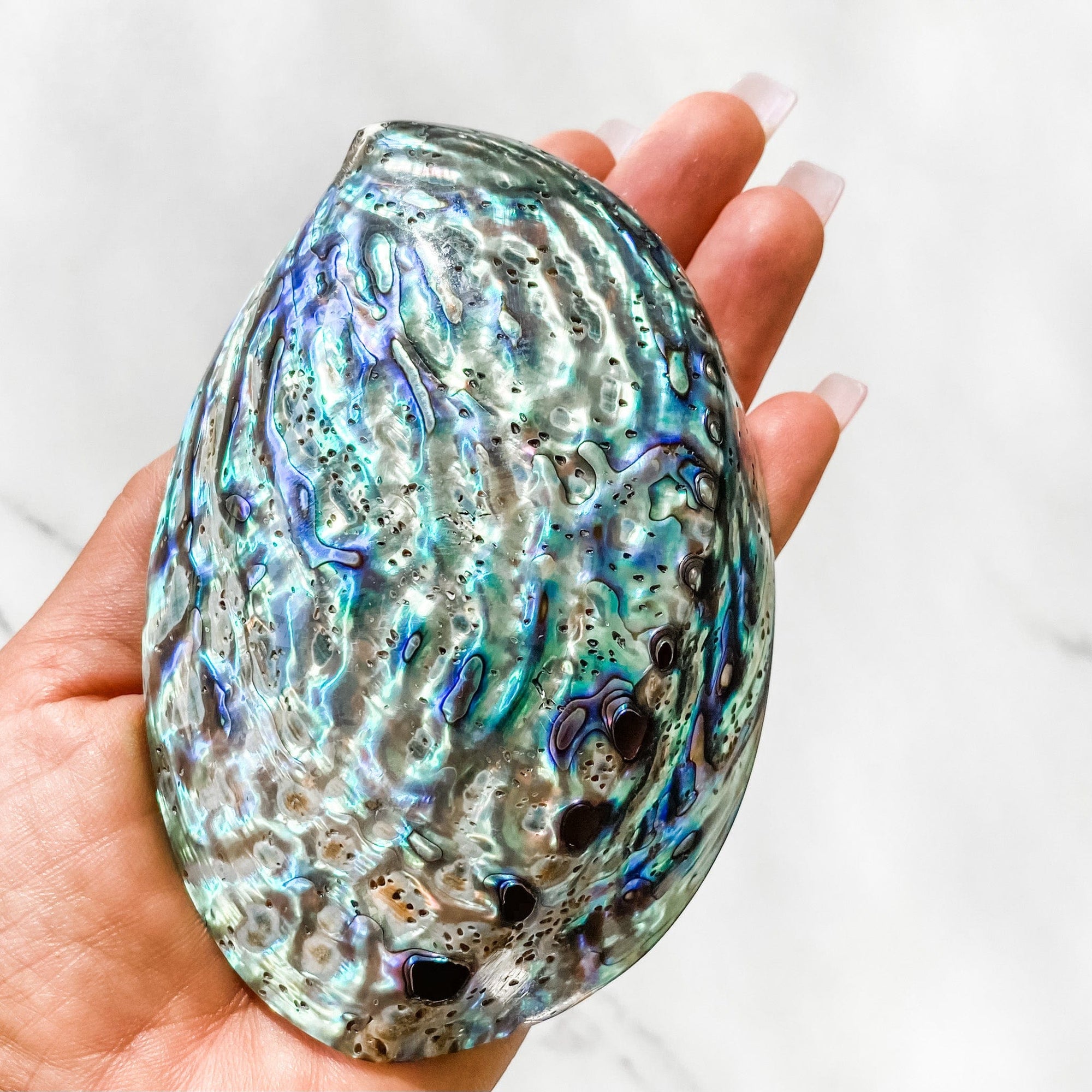 s1046 Natural Abalone Shell Incence Smudging Ritual Crystals Australia gemrox sydney 1