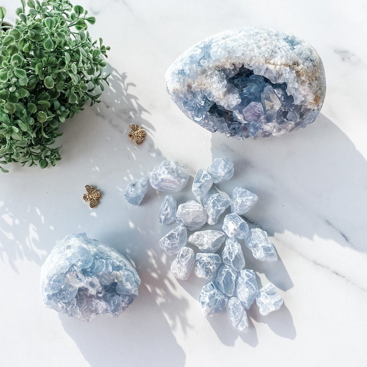 s1056 celestite crystal raw rough 2cm stone crystals australia gemrox crystals sydney 1