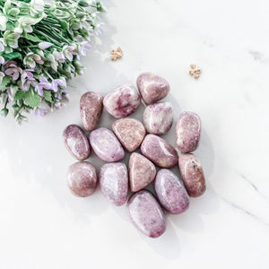 s1059 lepidolite crystals tumbled stone 3cm to 4cm crystals australia gemrox crystals sydney 1