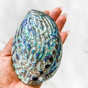 s1067 natural abalone cleansing smudging ritual crystal kit home protection eliminate negative energy crystals australia gemrox sydney 2