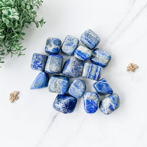 s1159 lapis lazuli crystal tumbled stones australia 2.5cm to 3cm. Natural lapis lazuli small tumbled stones australia.Crystals australia gemrox sydney 1