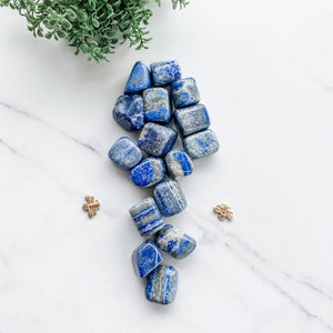 s1159 lapis lazuli crystal tumbled stones australia 2.5cm to 3cm. Natural lapis lazuli small tumbled stones australia.Crystals australia gemrox sydney 1