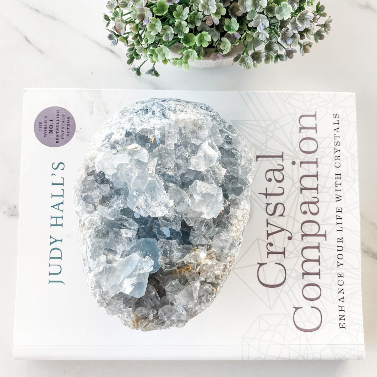 s1244 celestite crystal egg shaped cluster geode australia.crystal blue celestite cluster geode australia.crystals australia gemrox sydney 1