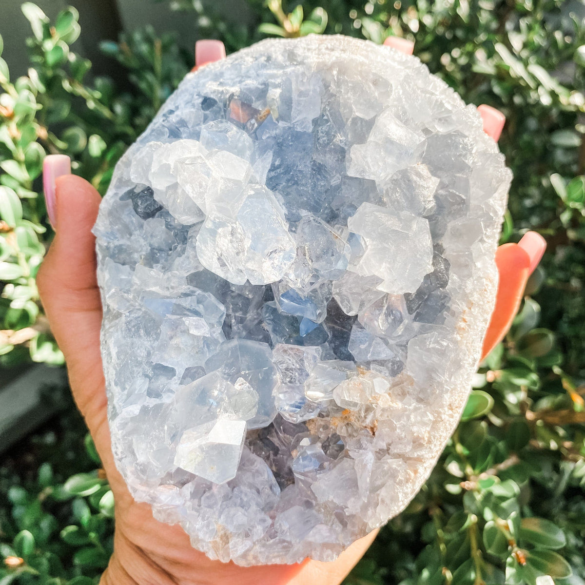 s1244 celestite crystal egg shaped cluster geode australia.crystal blue celestite cluster geode australia.crystals australia gemrox sydney 1