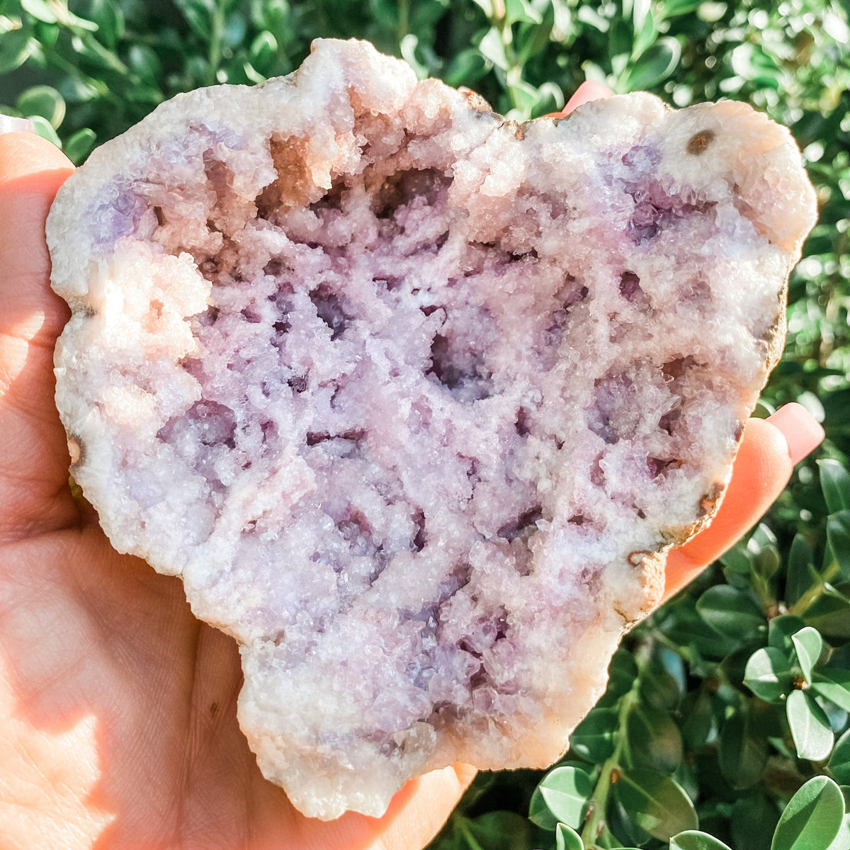 s1256 pink amethyst crystal cluster geode stone australia. amethyst pink geode australia.pink amethyst geode australia.crystals australia gemrox sydney 1