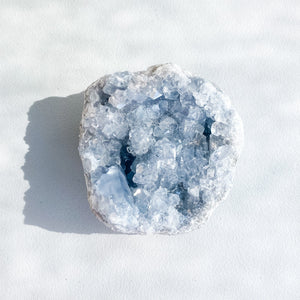 s1602 large celestite blue crystal cluster geode 2255 grams or 2 kilos 13cm australia. celestite crystal geode cluster australia. gemrox sydney 40