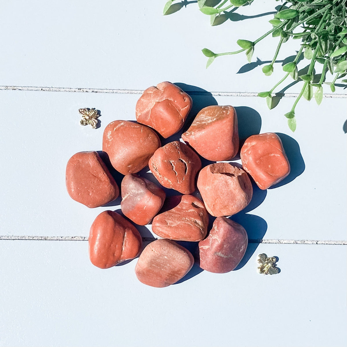 s1618 red jasper raw rough stone 2cm to 3cm australia. buy red jasper stone crystal australia. gemrox sydney 1