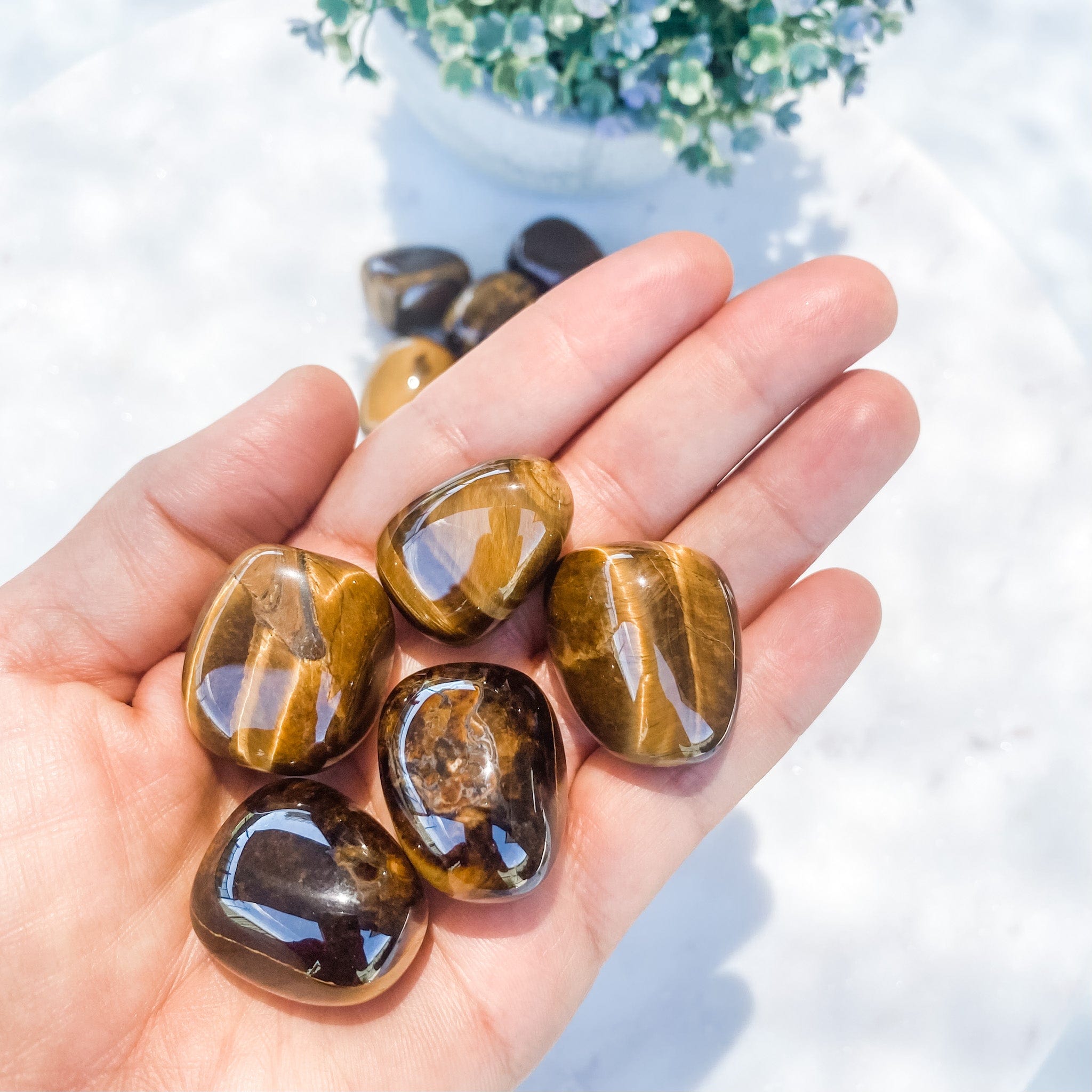 Tigers Eye AA Grade Tumbled Stone 3cm GemRox