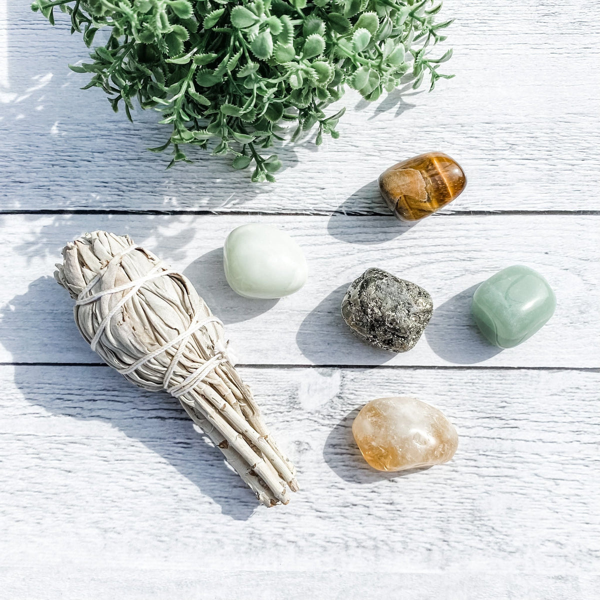 Show Me The Money Crystal Kit